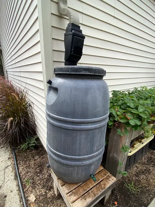 Gray rain barrel raised on a wooden stand at the corner of a house, with a spigot near the base and a downspout feeding the top